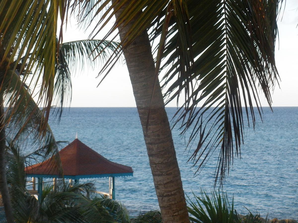 Villa Criss Ocho Rios Exterior photo